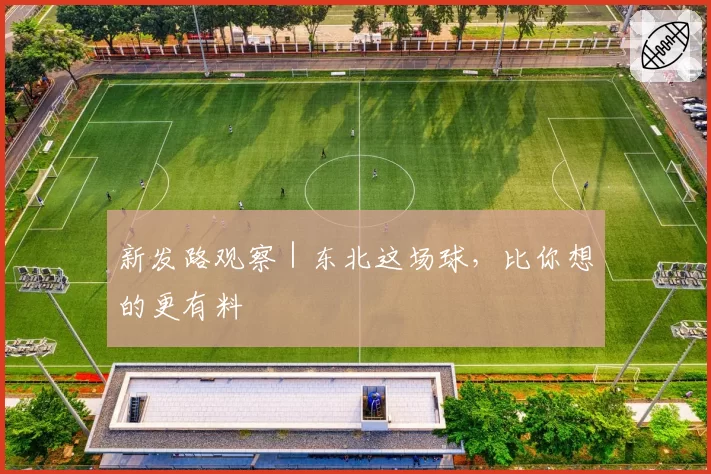 新发路观察|东北这场球,比你想的更有料