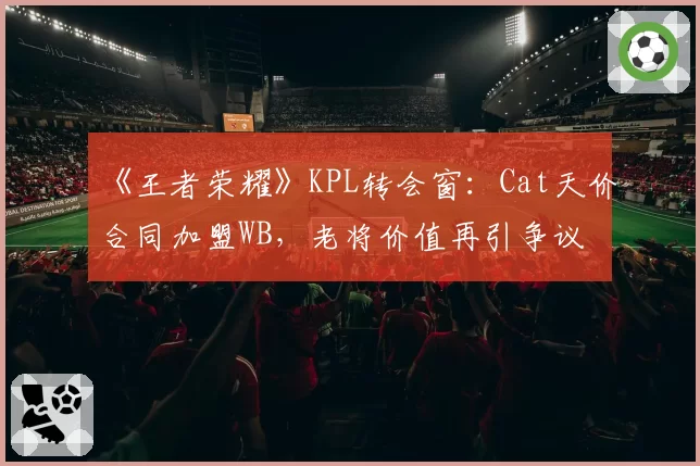 《王者荣耀》KPL转会窗：Cat天价合同加盟WB，老将价值再引争议