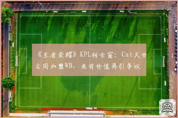 《王者荣耀》KPL转会窗：Cat天价合同加盟WB，老将价值再引争议