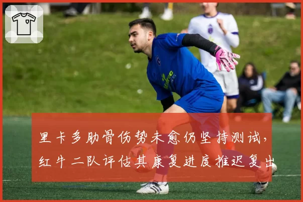 里卡多肋骨伤势未愈仍坚持测试,红牛二队评估其康复进度推迟复出