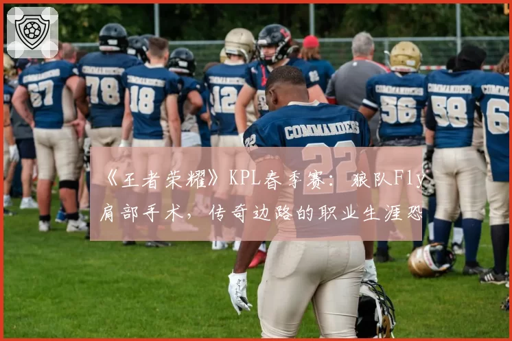 《王者荣耀》KPL春季赛：狼队Fly肩部手术，传奇边路的职业生涯恐提前落幕